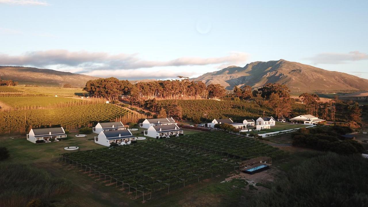 Hostal Endless Vineyards At Wildekrans Wine Estate Botrivier Exterior foto