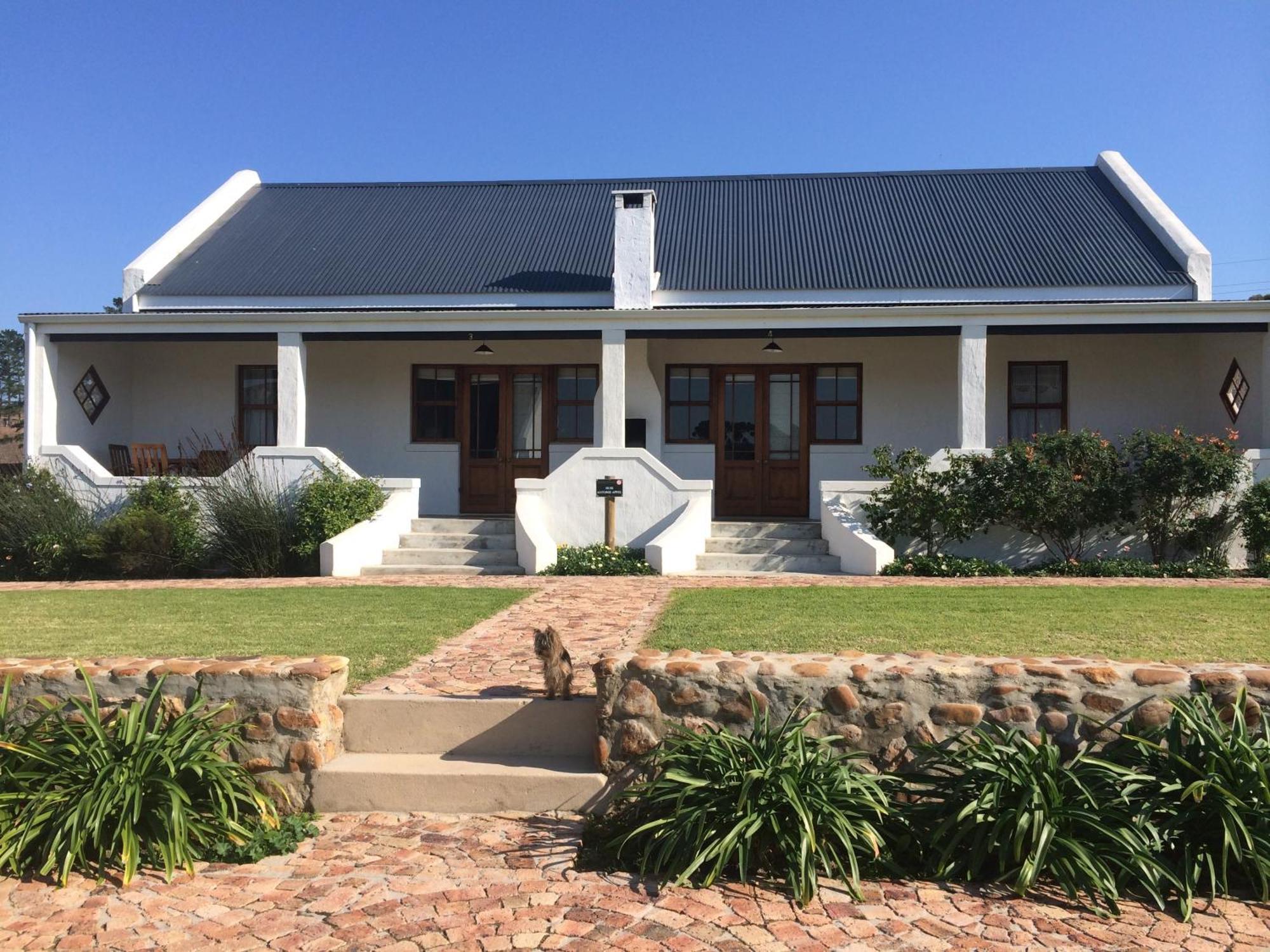 Hostal Endless Vineyards At Wildekrans Wine Estate Botrivier Exterior foto