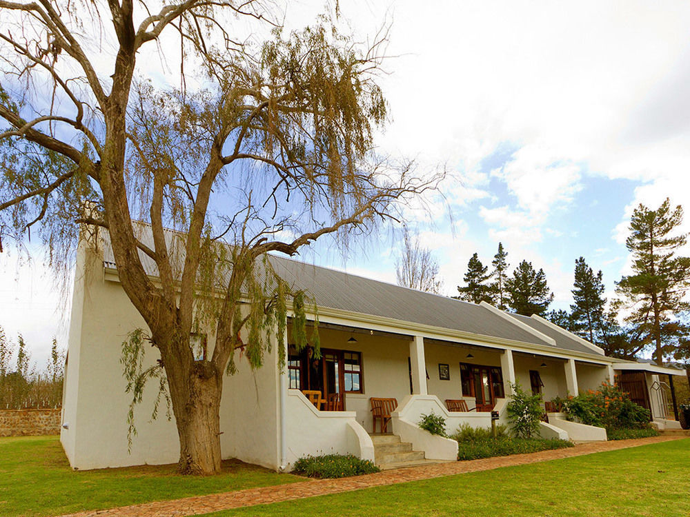 Hostal Endless Vineyards At Wildekrans Wine Estate Botrivier Exterior foto
