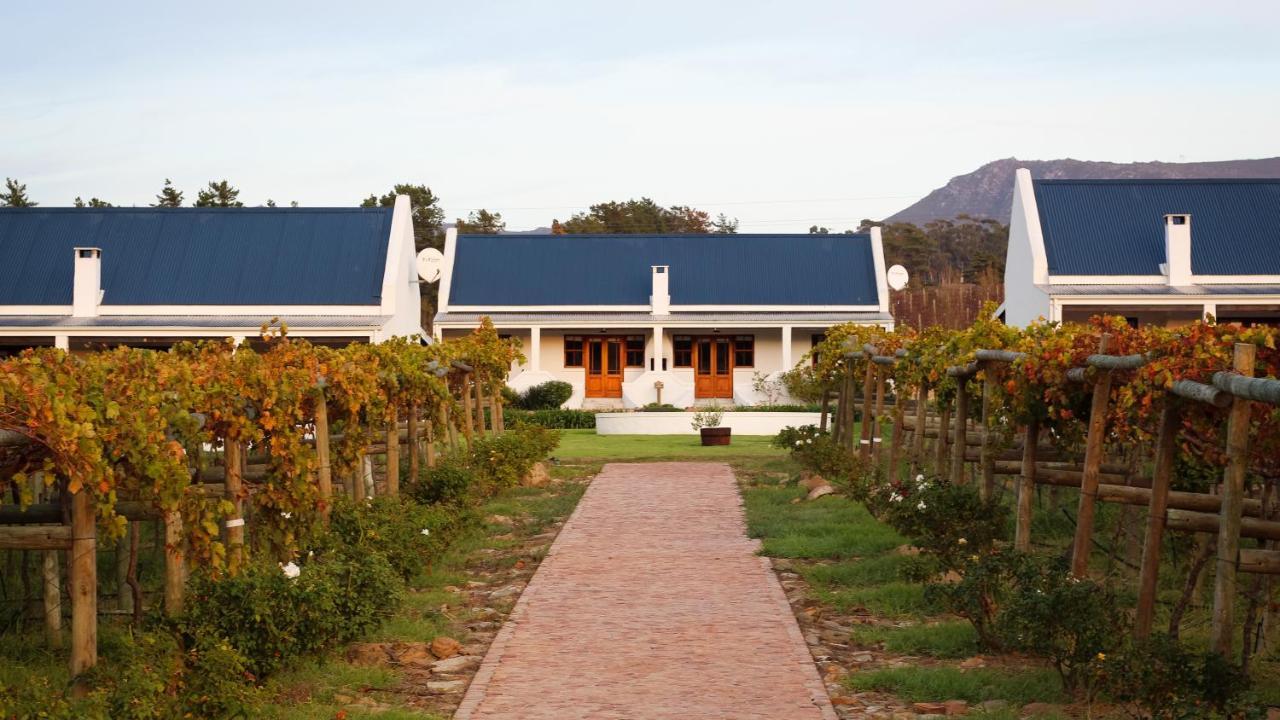 Hostal Endless Vineyards At Wildekrans Wine Estate Botrivier Exterior foto